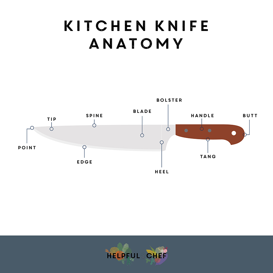 infographic showing the different parts of a knife