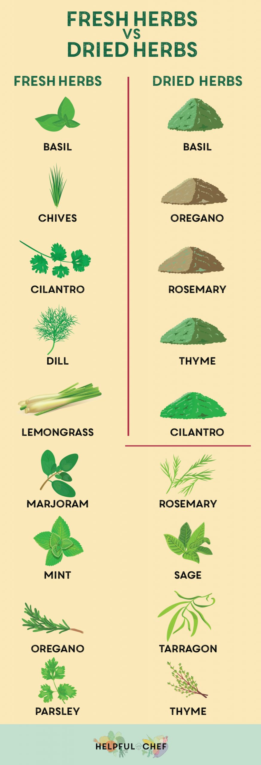 A visual guide to fresh vs dried herbs